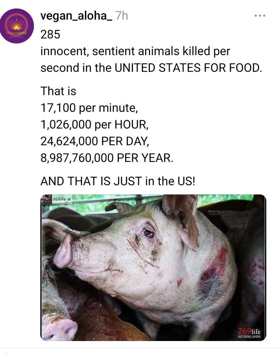 RavenTW's tweet photo. Know the pain and suffering you cause with your choices and choose to make better choices...
#BreakTheProgramming, #govegan, #animalliberation, #ditchdairy https://t.co/XTRT7FeAlE