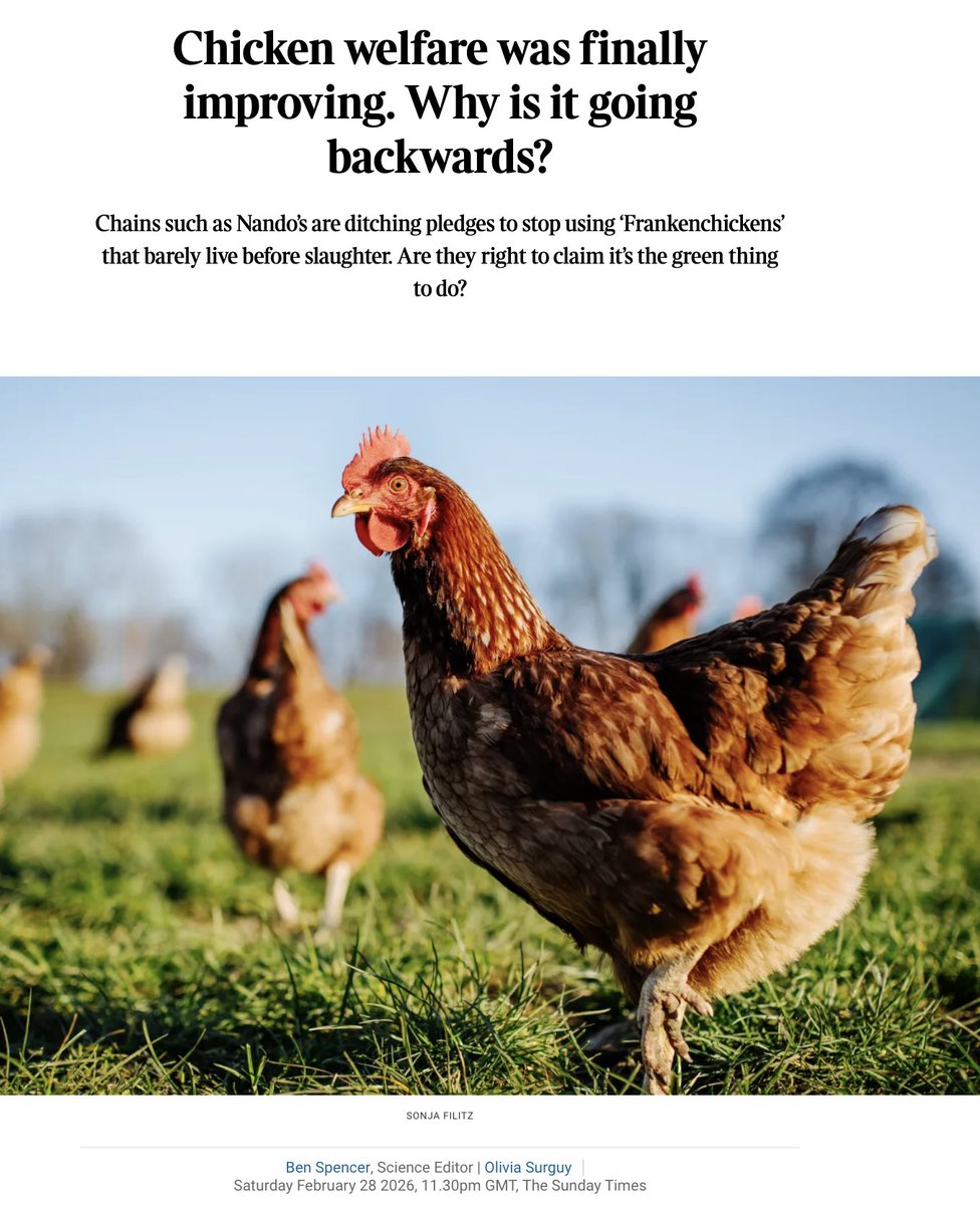 Lewis Bollard tweet media