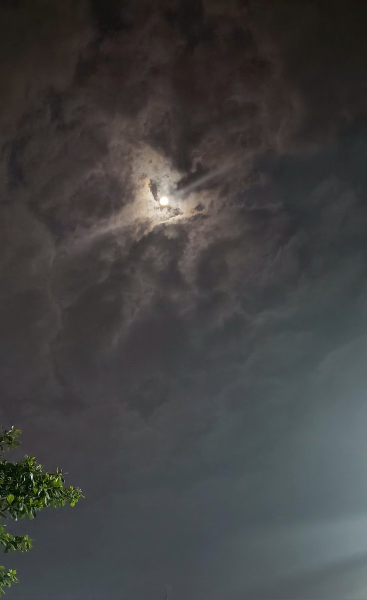 vaishu_pandre's tweet image. 🌙✨ Moon hiding behind dreamy clouds, peeking through the night sky. 🌿💫 A serene night captured with the glow shining softly. #NightSky #MoonMagic 🌌💖
Good night X family sweet dreams😴💭