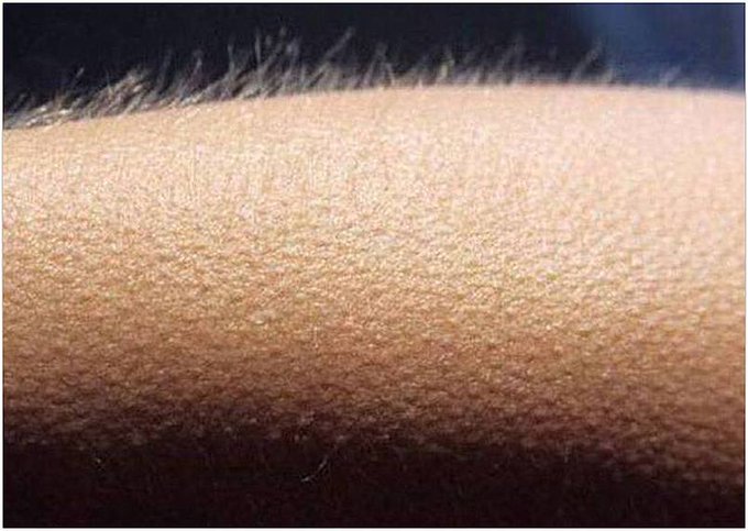 Nostalgia tweet media