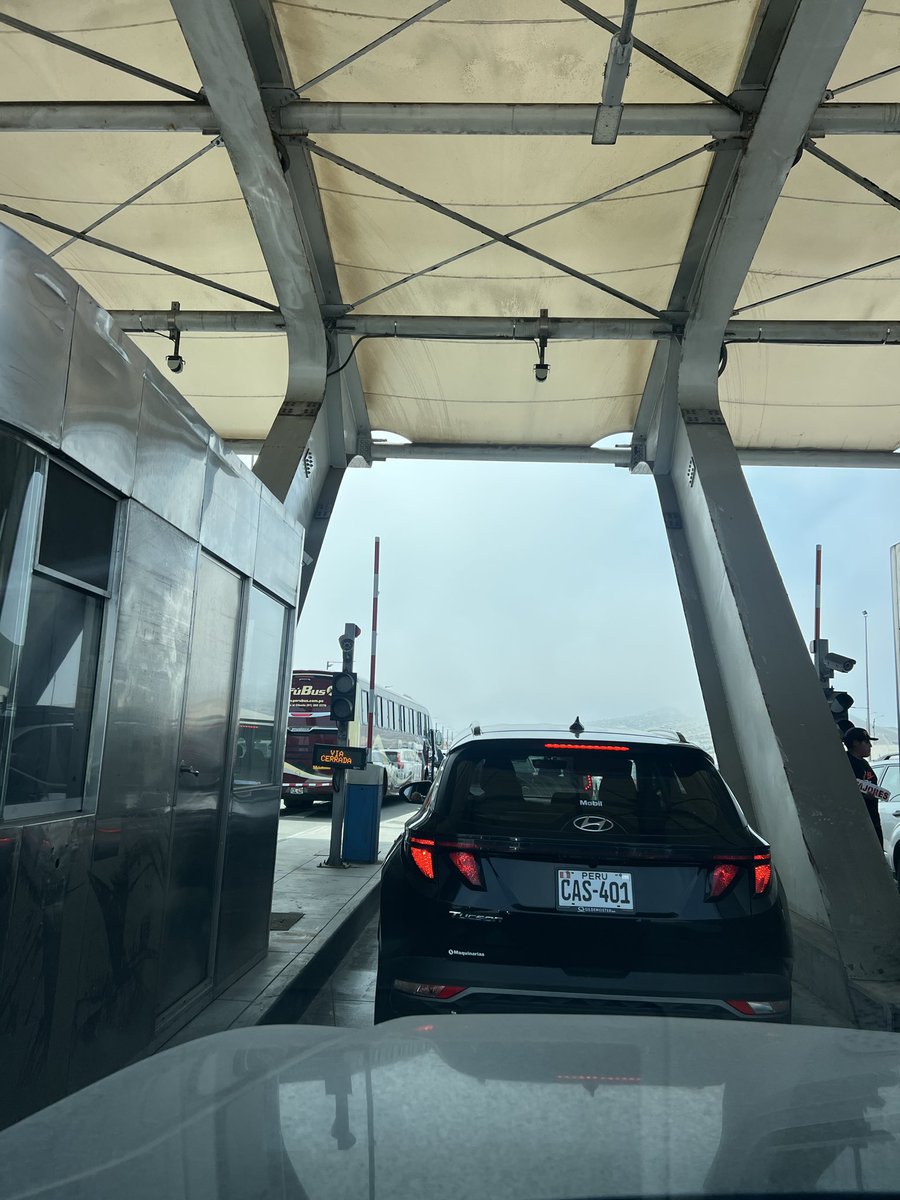 Elaine Ford tweet media