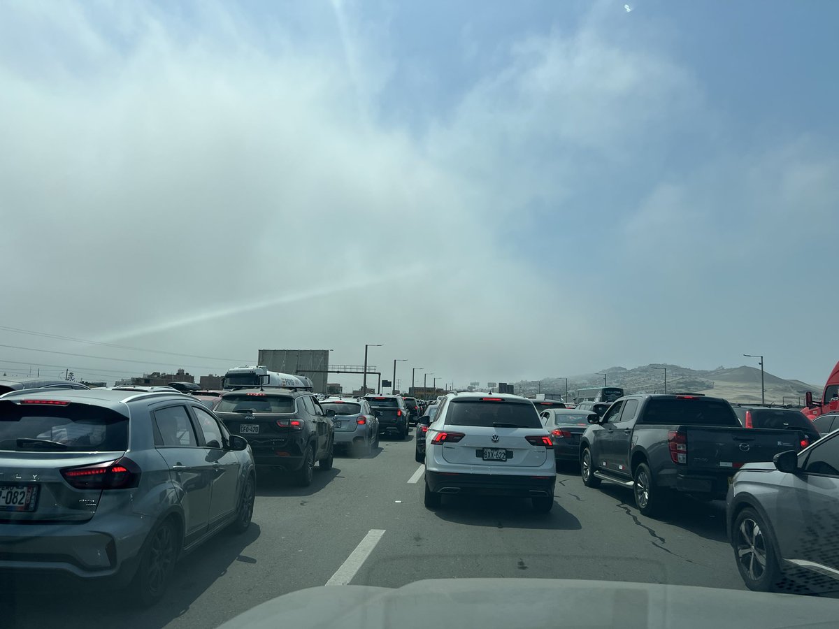 Elaine Ford tweet media