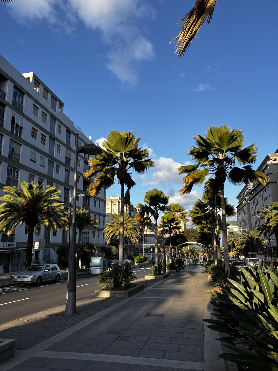 ElojodeSantaCruz tweet media