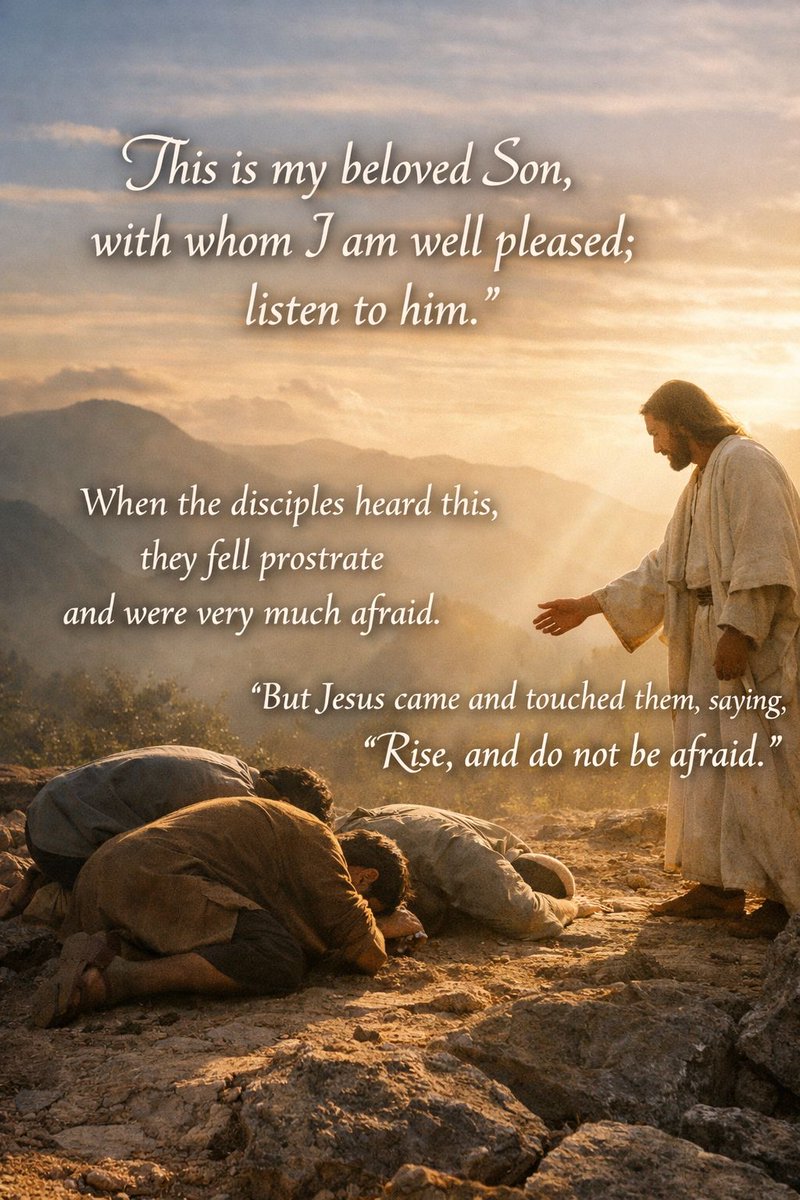 Archdiocese of New York tweet media