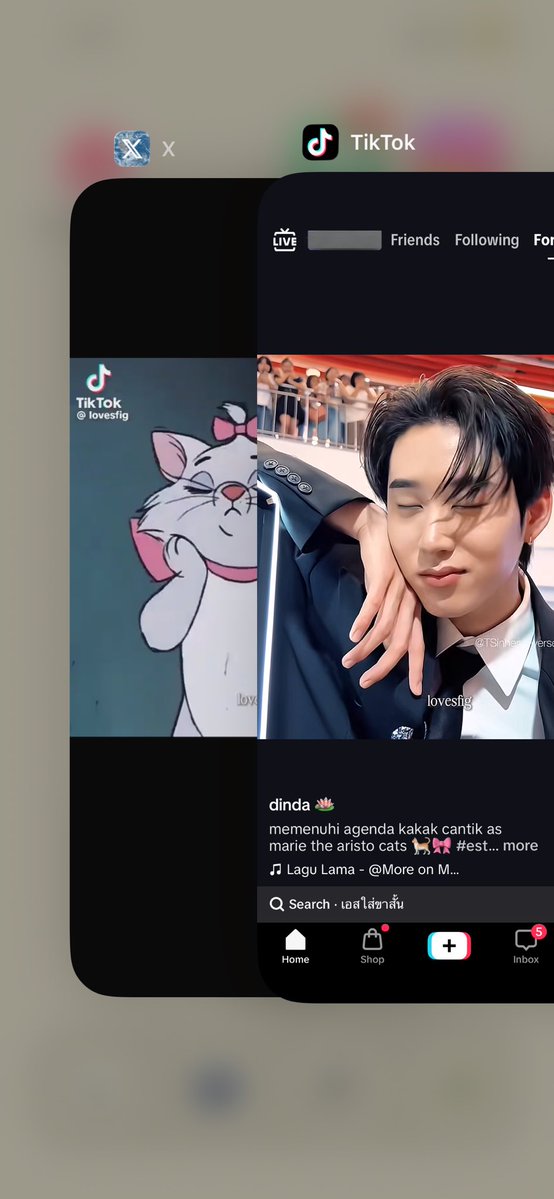 น้องเอสเป็นแมวจริง ๆ โคตรบังเอิญอะชั้นเจอคลิปในทวิตที่เปรียบเทียบน้องเอสกับแมวมารี แล้วชั้นก็กดออกจากทวิตเข้าติ๊กต่อก แล้วก็เจอคลิปเดียวกัน ละพอเทียบกัน ㅠㅡㅠ น้องเอสเป็นแมวจริง ๆ