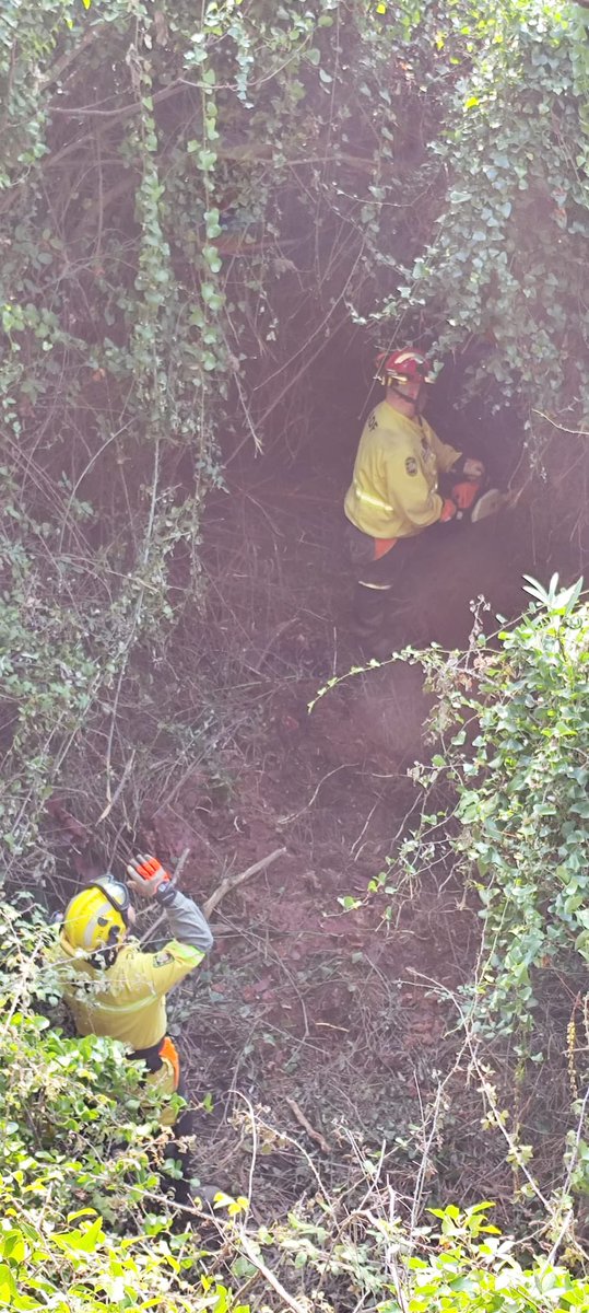 ADF175 Esparreguera🪵🔥🚨 tweet media