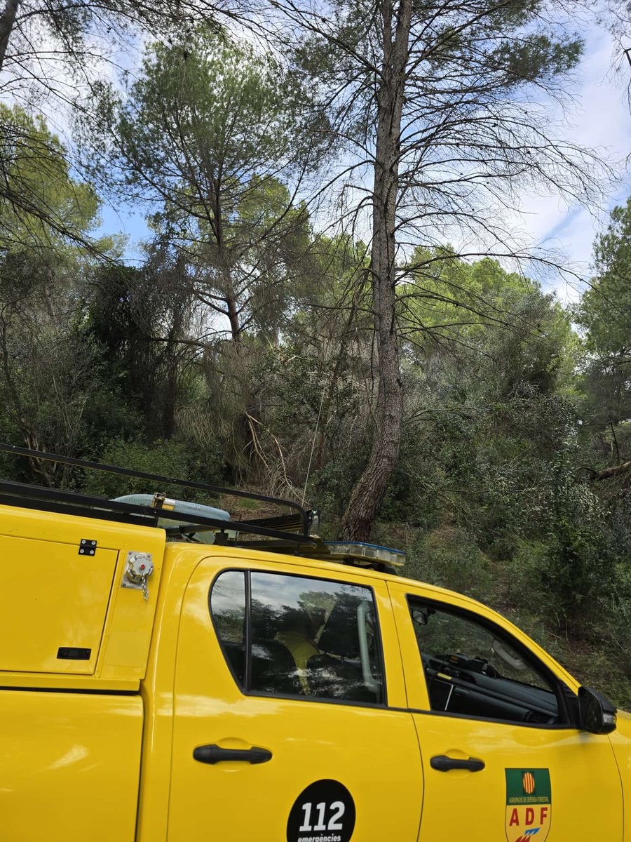 ADF175 Esparreguera🪵🔥🚨 tweet media