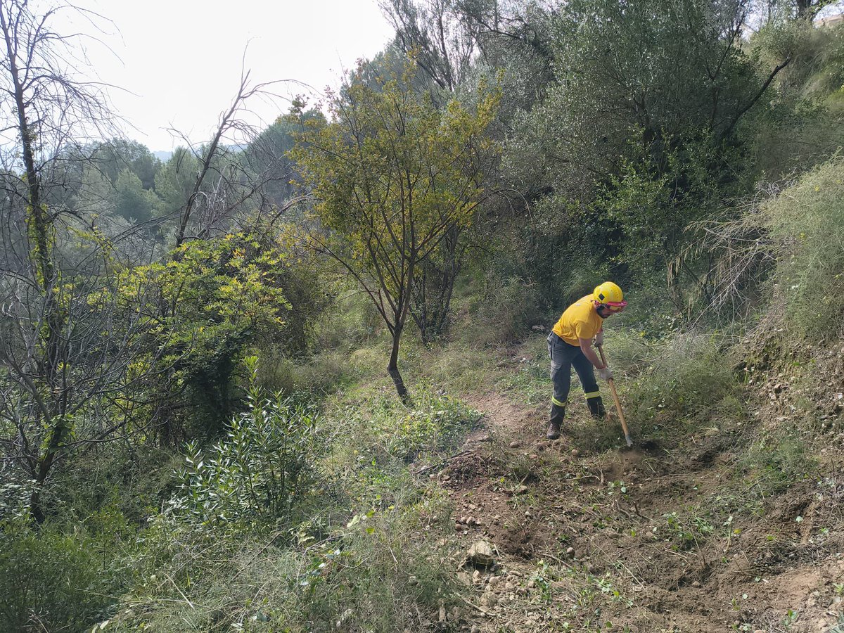 ADF175 Esparreguera🪵🔥🚨 tweet media