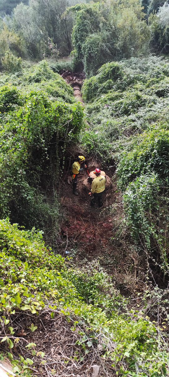 ADF175 Esparreguera🪵🔥🚨 tweet media