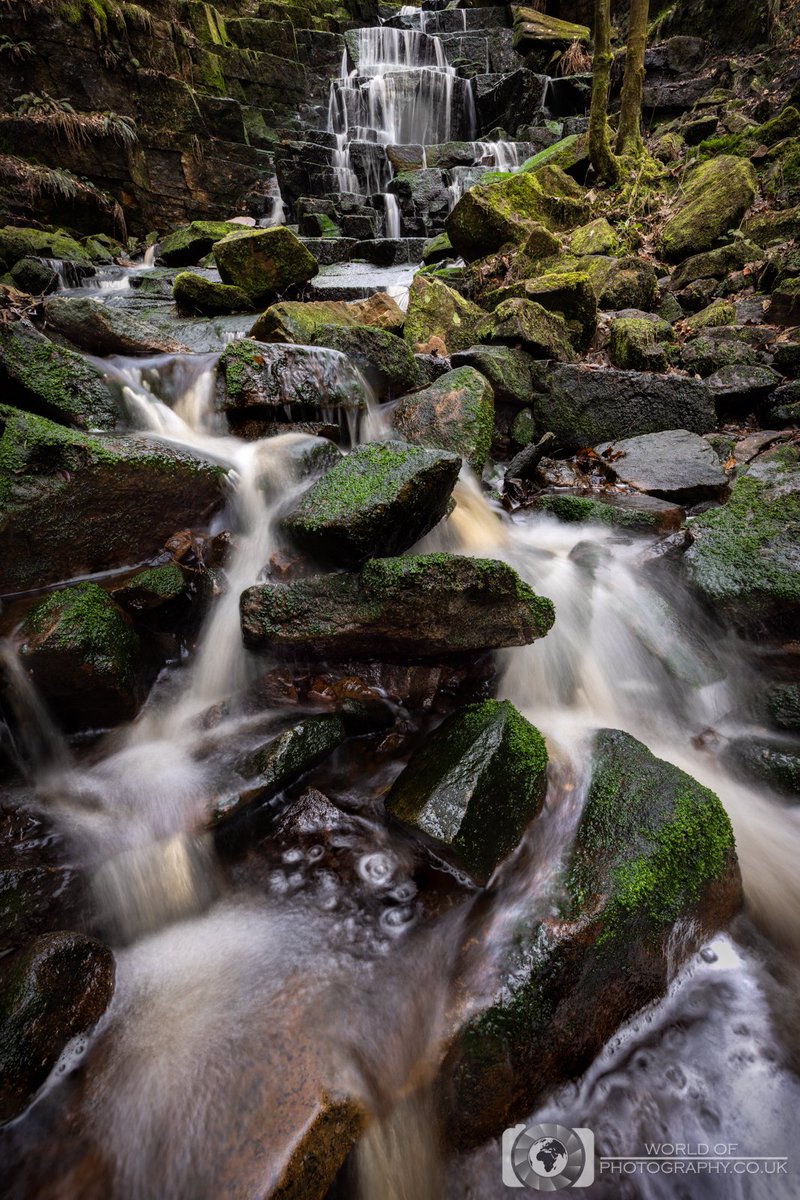 World Of Photography tweet media