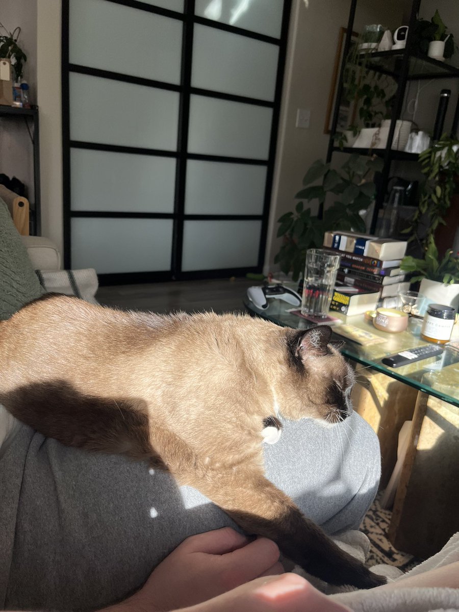 kaleightucker_'s tweet photo. I want nothing more than to be home with the two coziest best friends a girl could ask for https://t.co/H0kazrMOa0