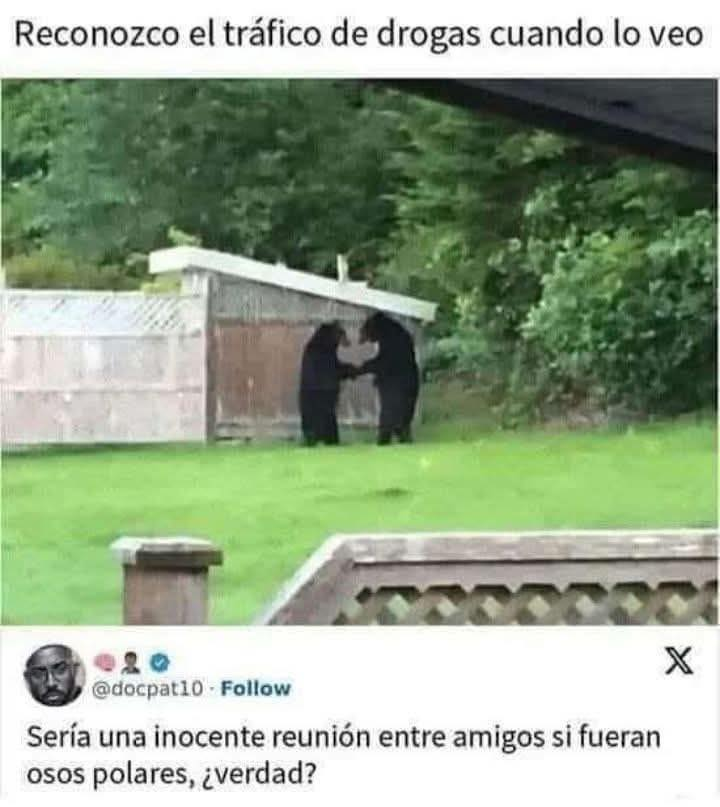 MsCiencia2's tweet photo. Si fueran osos blancos otra cosa sería... XD https://t.co/lHvcN8FW5p