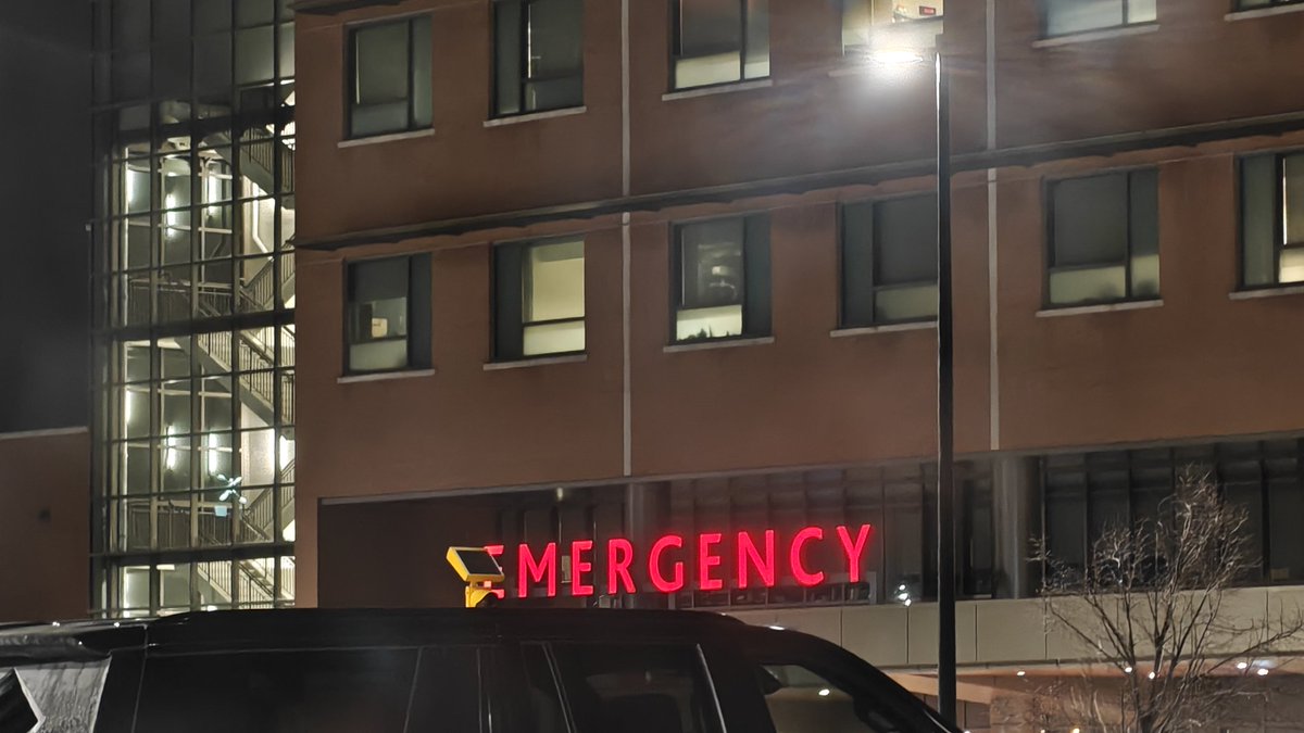 ZIM VR Live 🌋 tweet media