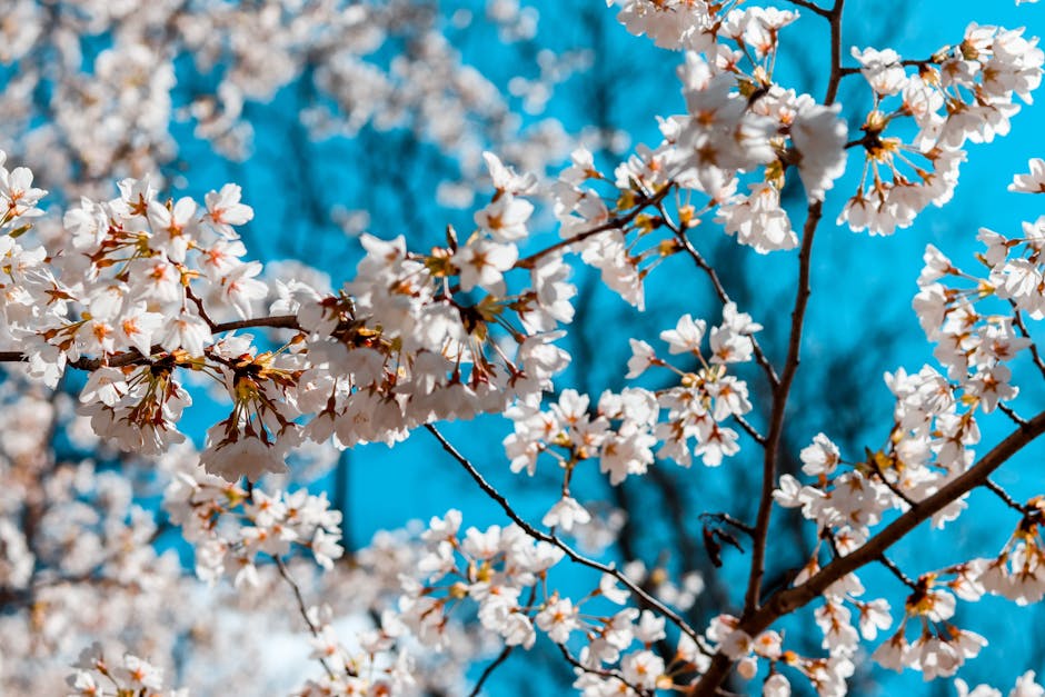 MarkAdkinsAgent's tweet image. March is here! As we welcome the arrival of spring, let’s embrace new beginnings and fresh opportunities.  #MarchMotivation #SpringForward