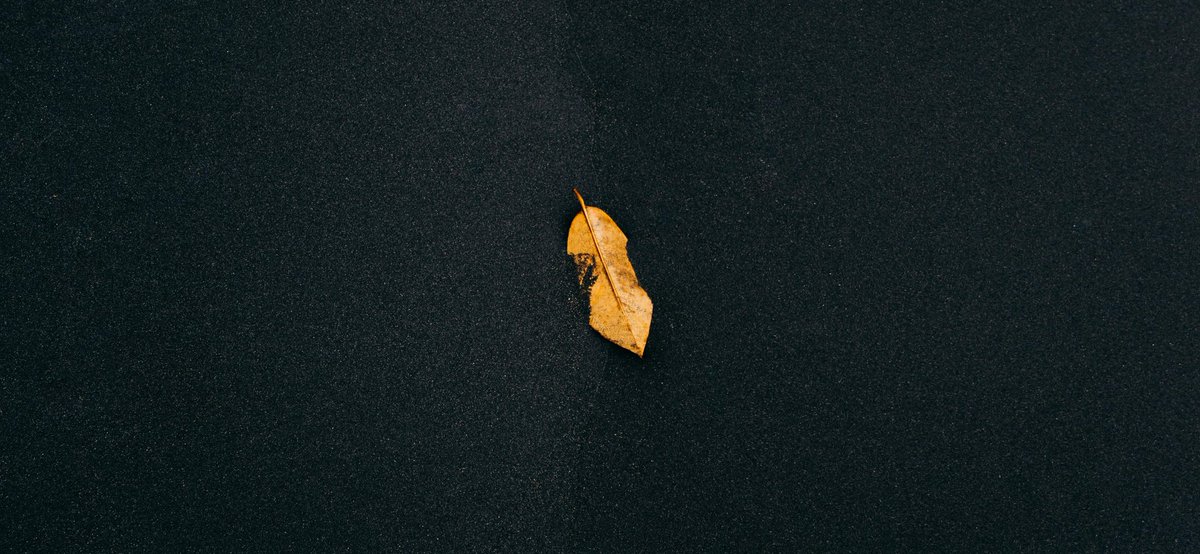 محمد بديري tweet media