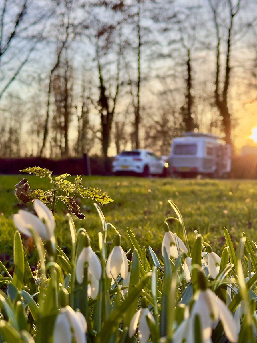 thetouringboys's tweet photo. Looking forward to those warmer months, especially golden hour. #GoldenHour #SunsetPhotography #Caravan #holiday #eriba #trocr https://t.co/v6fWrkmeIX