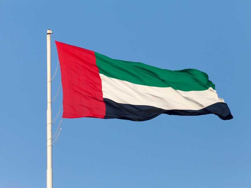 الوثيقة tweet media