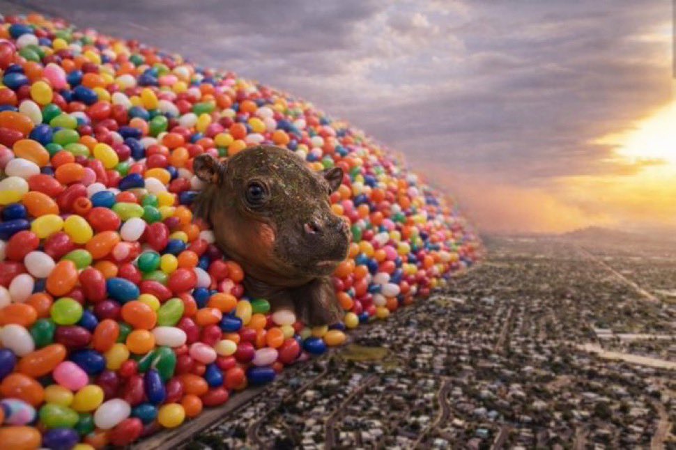 jellybeanhippo's tweet photo. Sooo I've been told by my fans that this is what mooning is ! Congrats to my fans who bought the dip around $1M !!! Sweet $Jellybean dips are for buying moar of me yayyyyy https://t.co/l6PRPGUn6N
