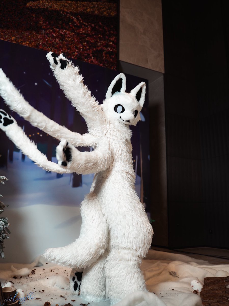 Helloノ
📷：@翎陌