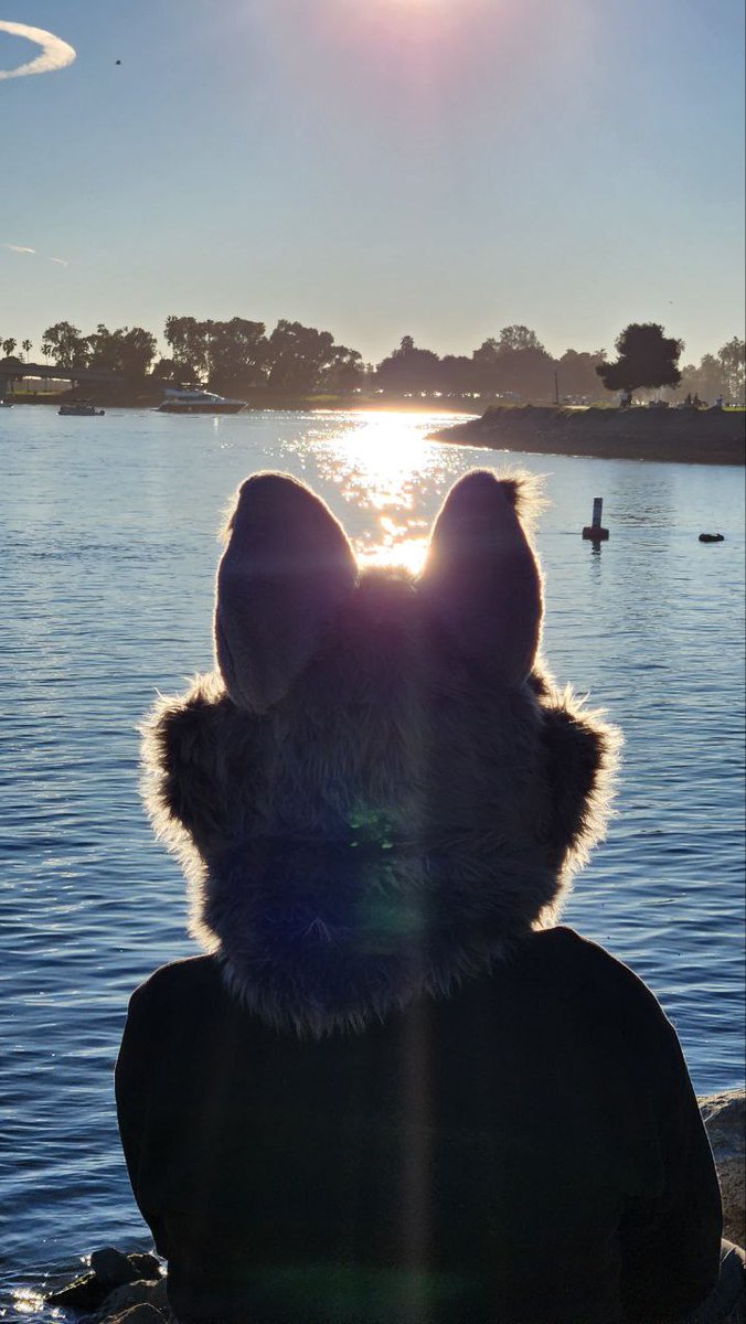 LobitoLw's tweet photo. I love every single second of my life when im with u☺️🥰 https://t.co/smH8i5W4wk