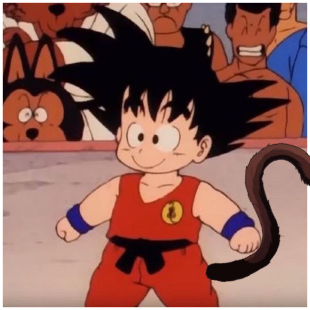 DO NOT MESS WITH GOKU MF