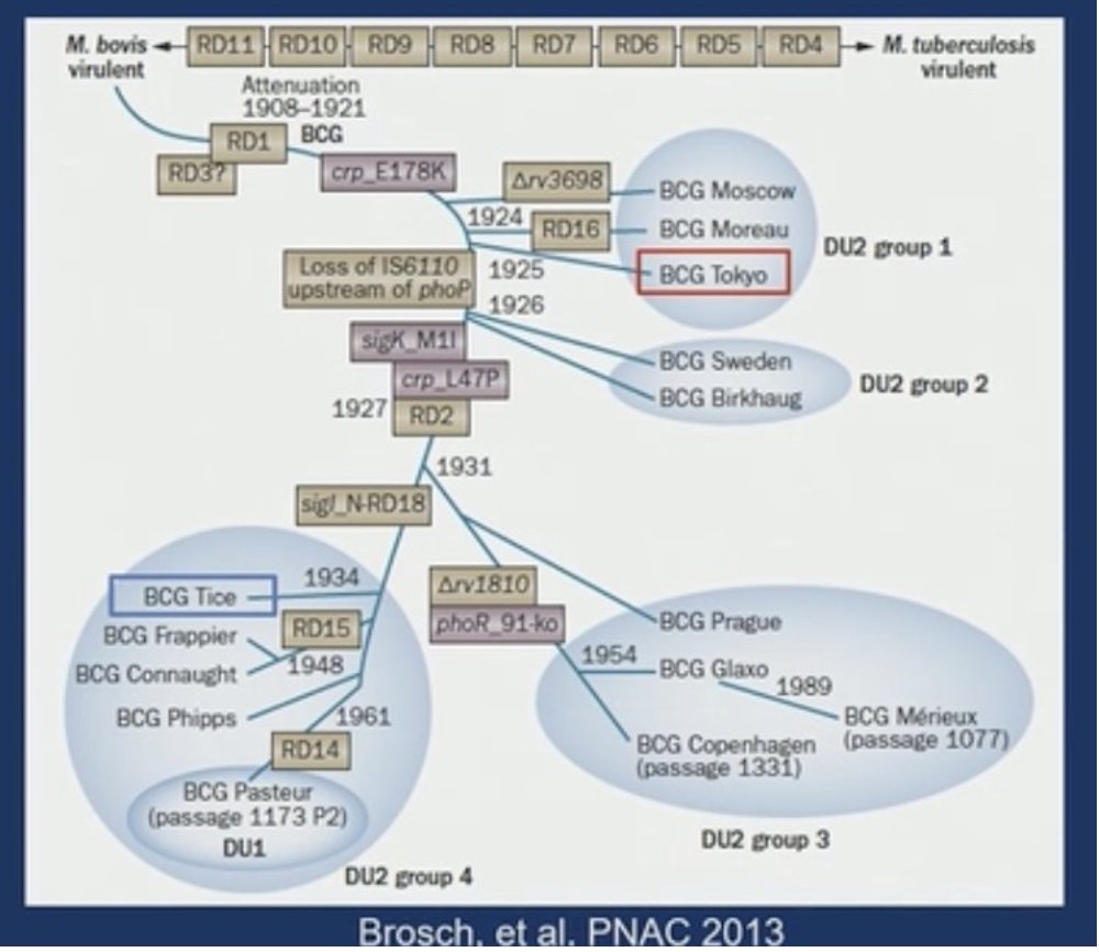 UroToday.com tweet media