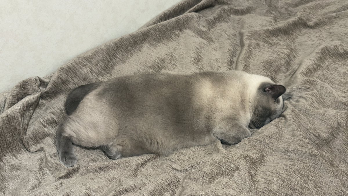 Владимир tweet media