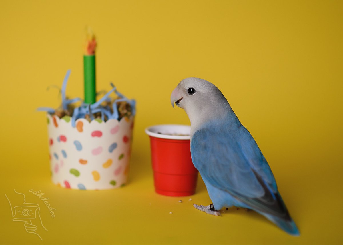 adhdeedee tweet media