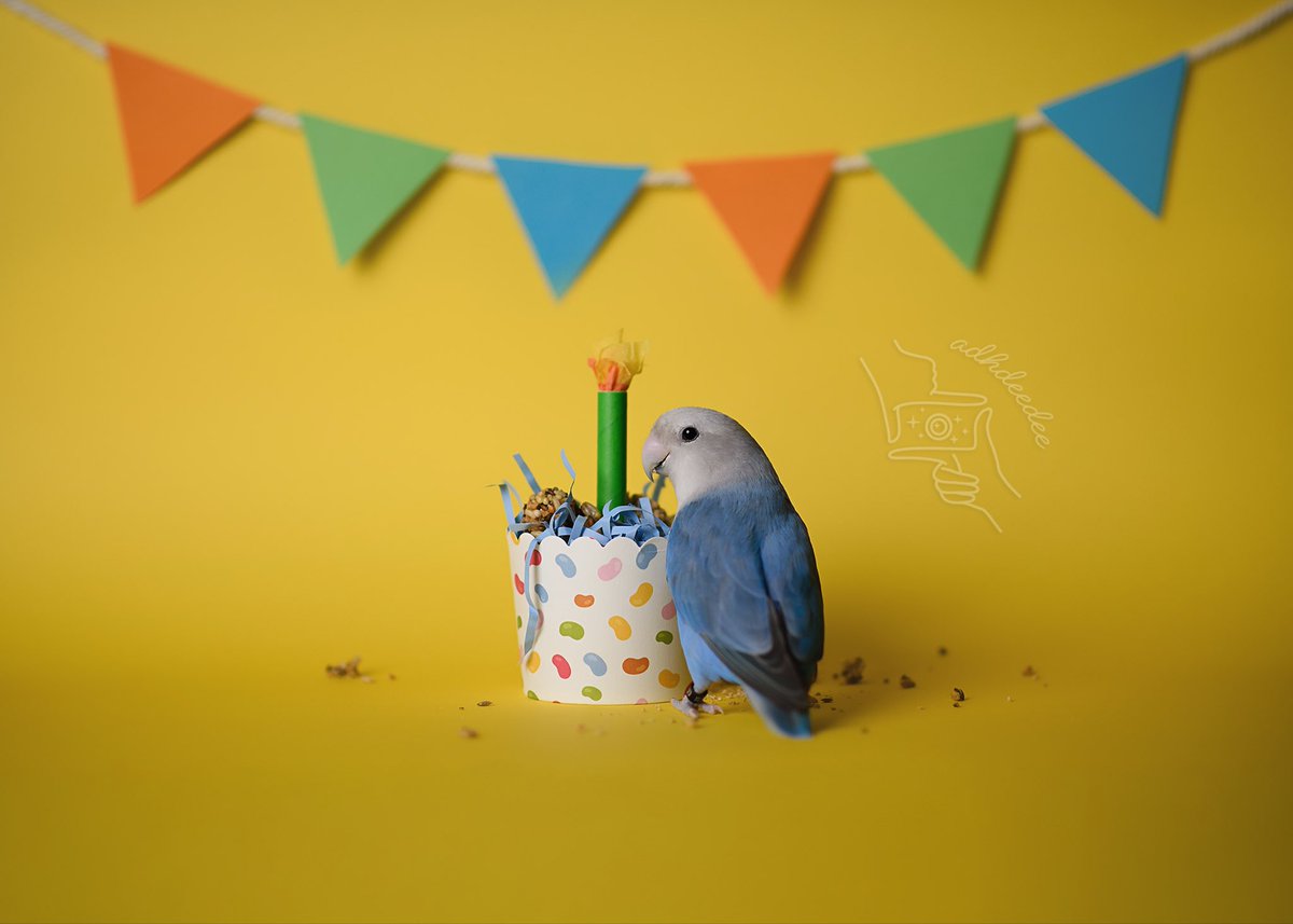 adhdeedee tweet media