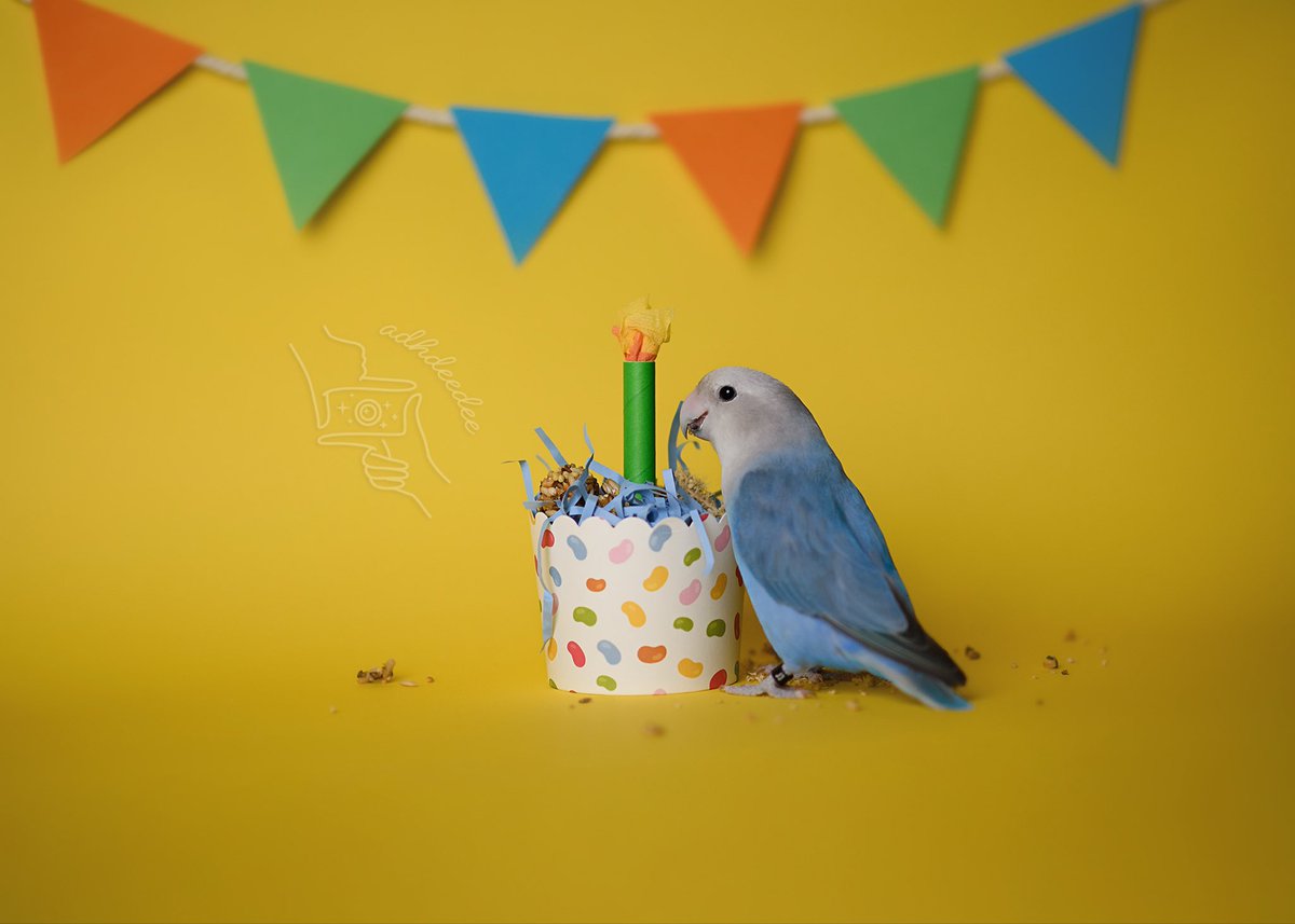 adhdeedee tweet media