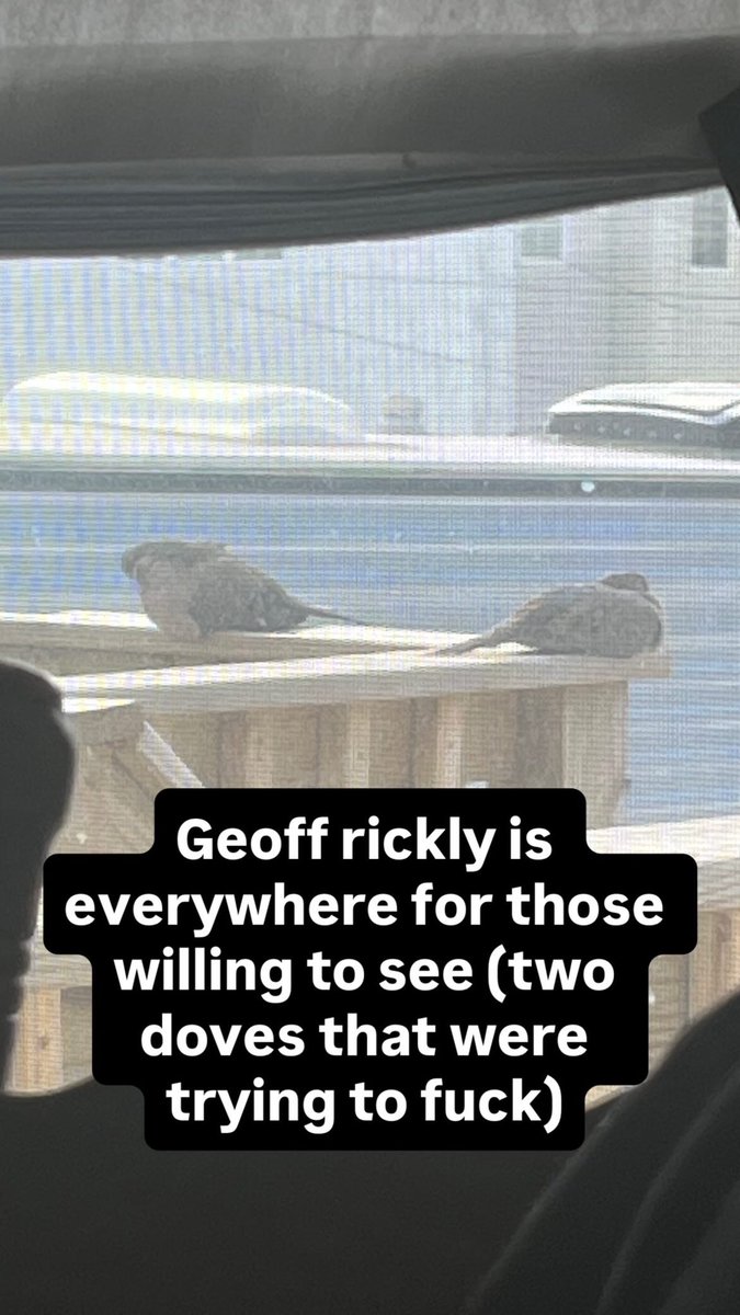 Geoff sent them to my yard I know it