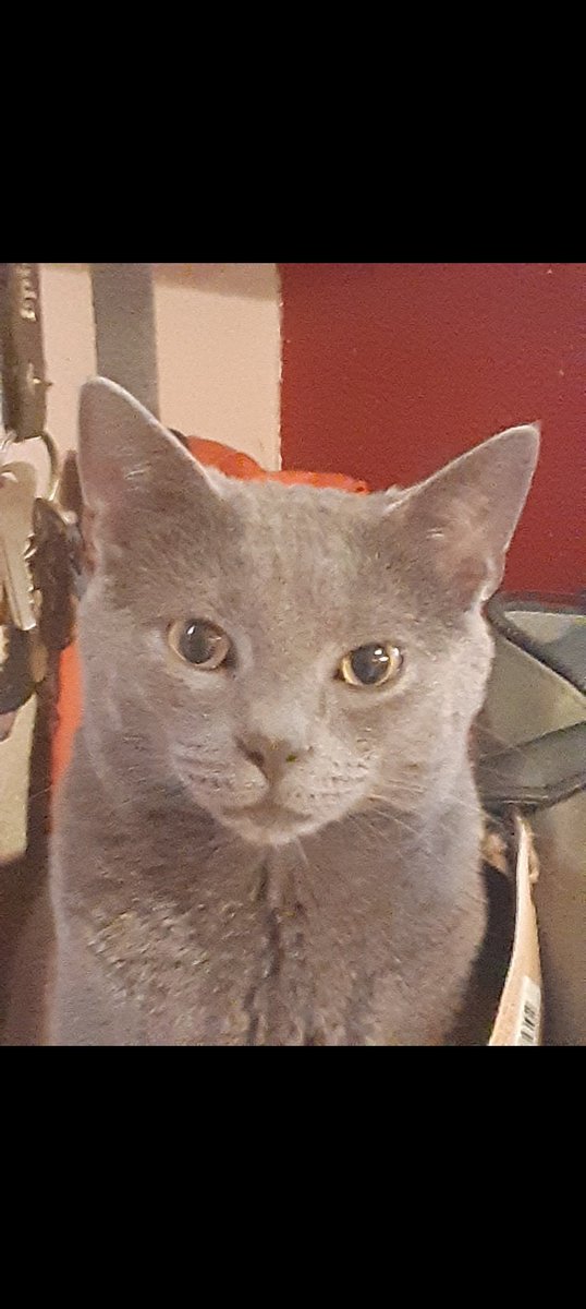 Brax😏 tweet media