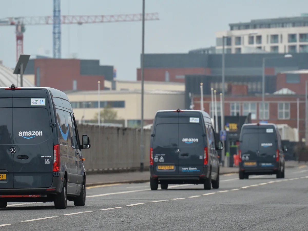 Wolf 🐺 tweet media