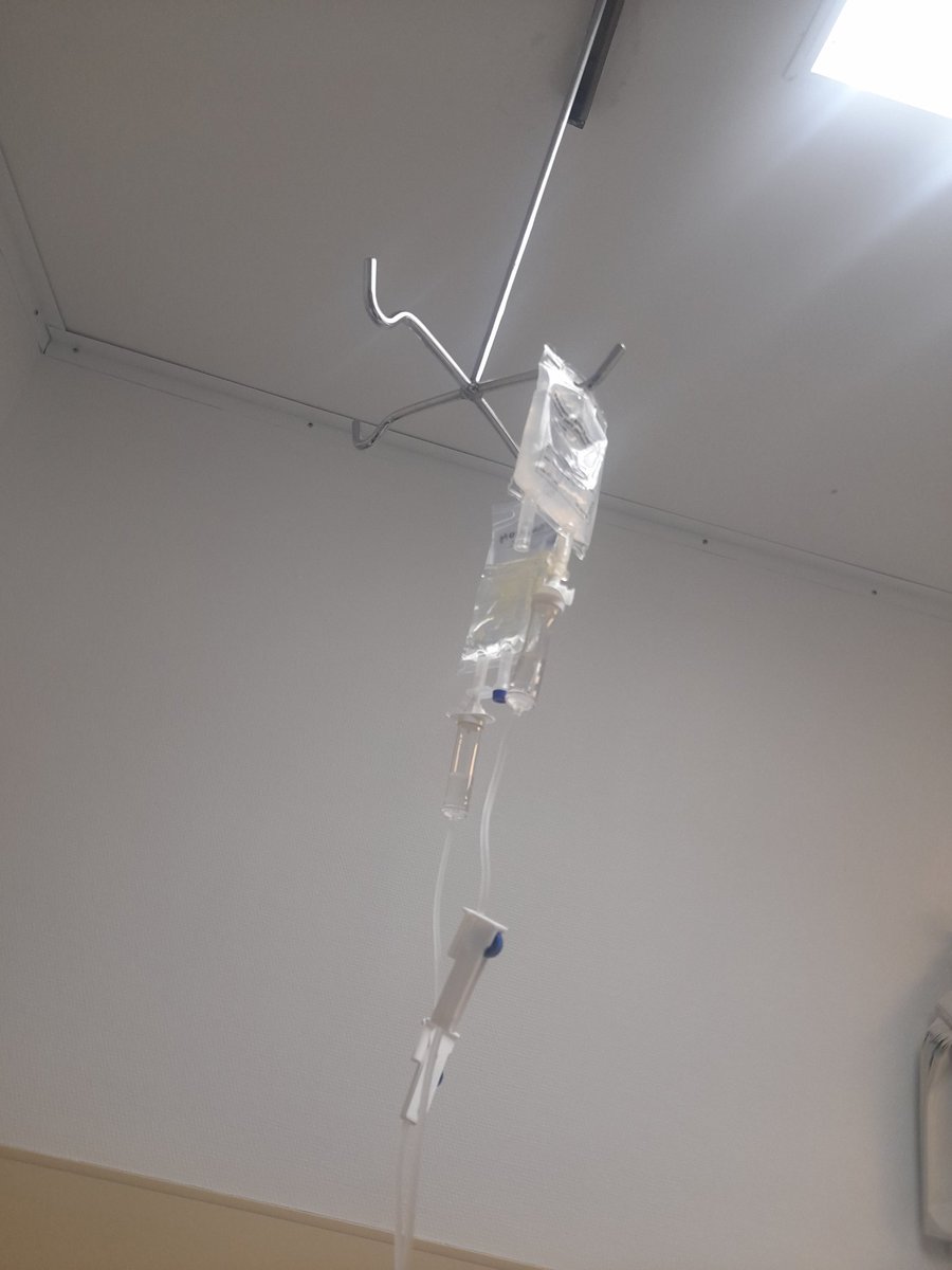 Llàtzer 🍏🎼🎵🎶 tweet media