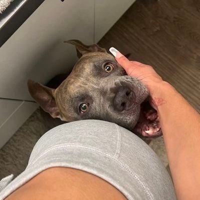 k9Kristyk9_'s tweet photo. Hey zoo enthusiasts
Are you proud to be a zoo lover? You're free to go through my profile and engaged in my satisfying and fantastic zoo content… add me on telegram https://t.co/wTiMmzQfvO https://t.co/kjrLPRyz1E