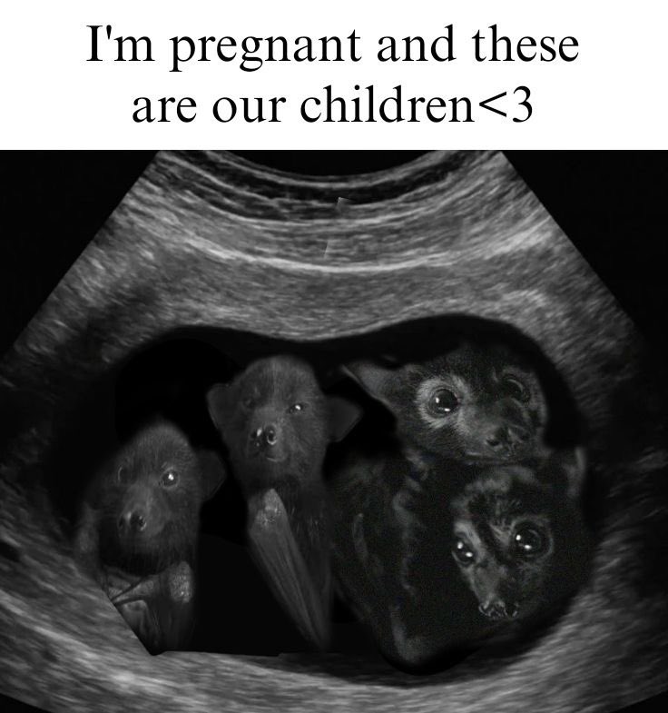 goth aesthetics (@gothsthetiques) on Twitter photo 