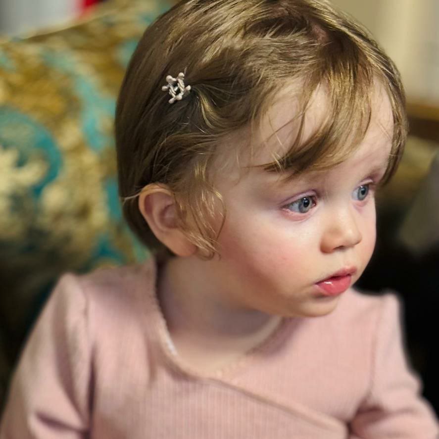 THS Haber tweet media