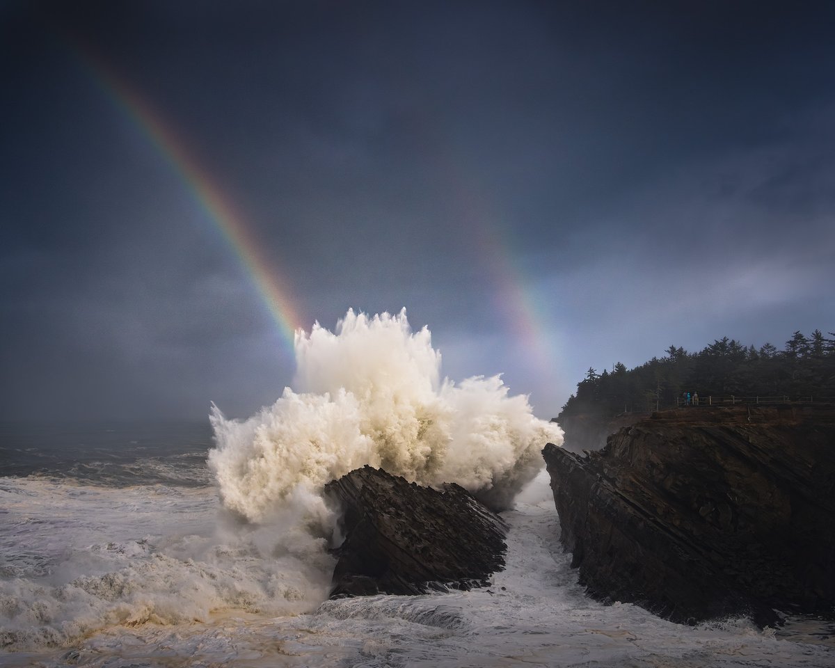 Michael Shainblum tweet media