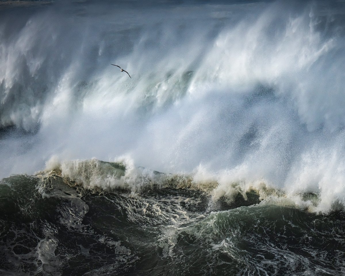 Michael Shainblum tweet media
