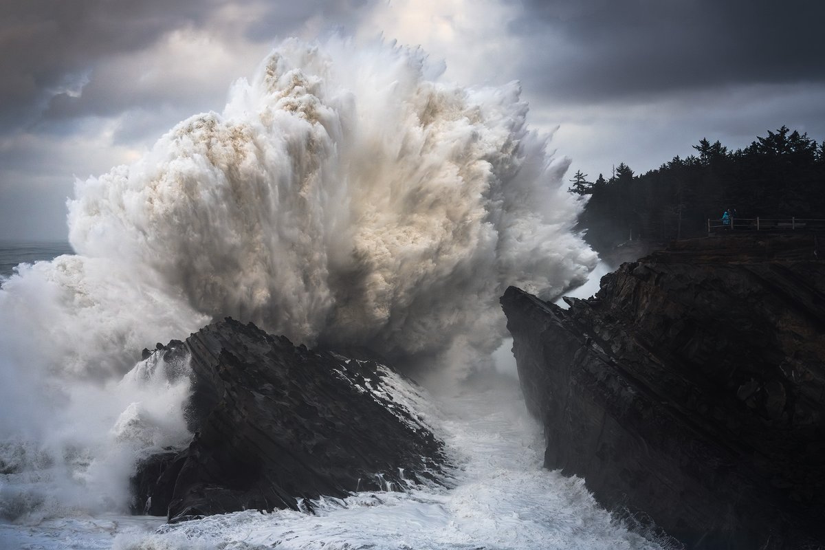 Michael Shainblum tweet media