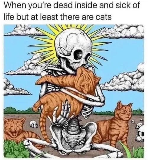 No Nonsense Neurodivergent tweet media