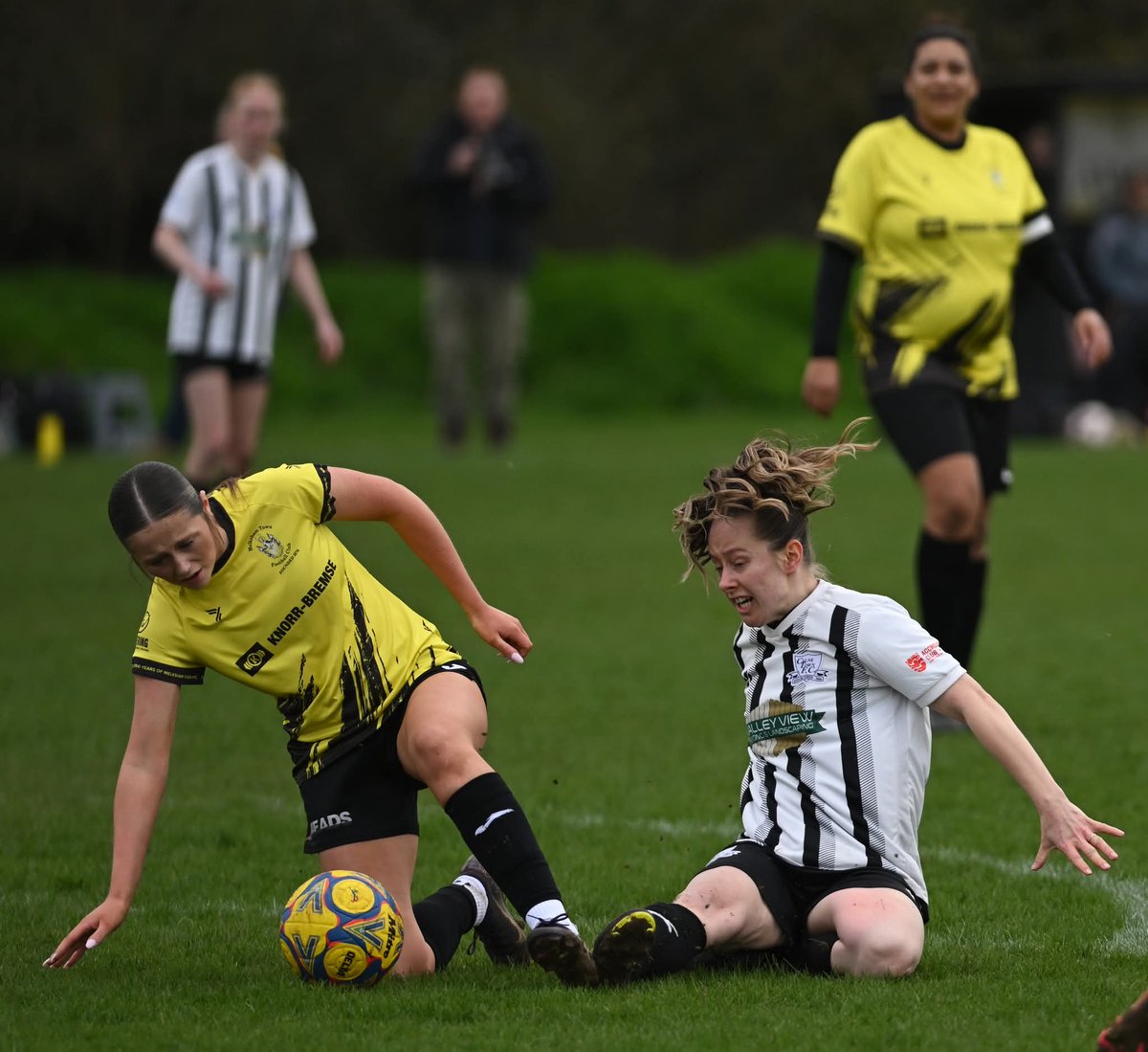 Martin Smith tweet media