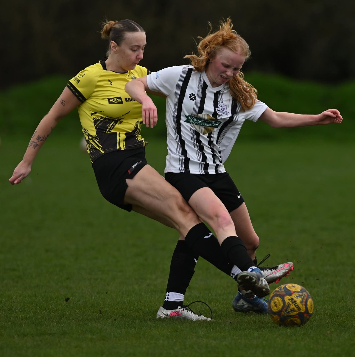 Martin Smith tweet media