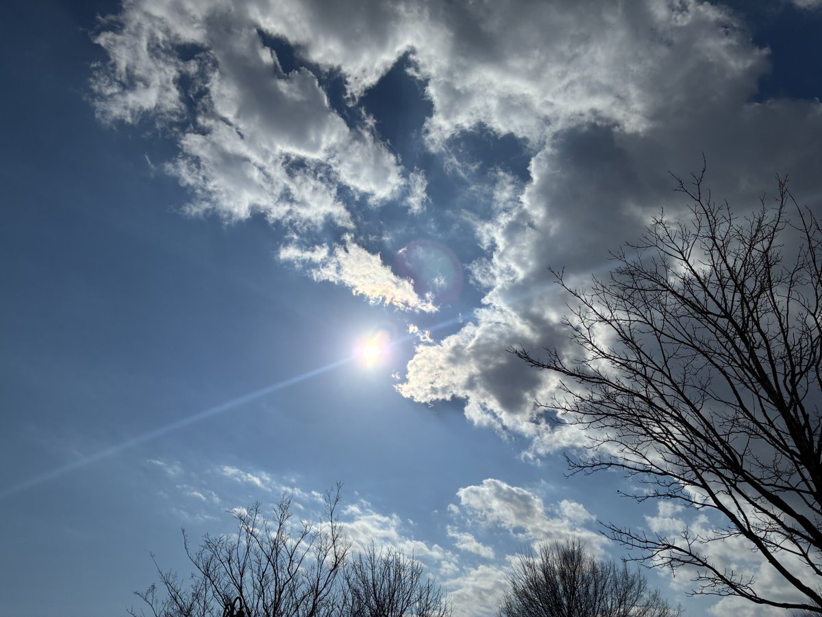 Kevin F. Seiger-Cottoms tweet media