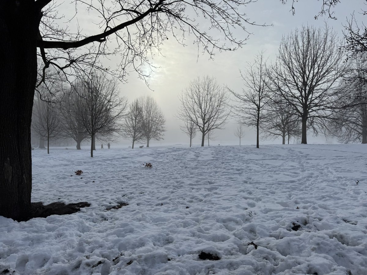 Saida Rodriguez-Tabone tweet media