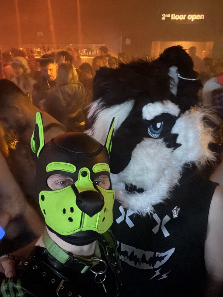 Mittens 🇦🇹 tweet media