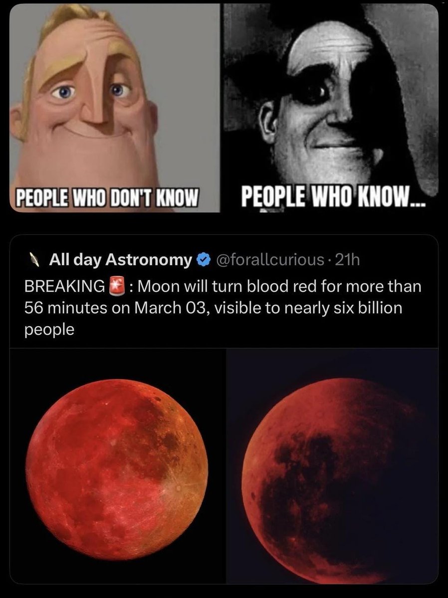 Real Post Folder tweet media