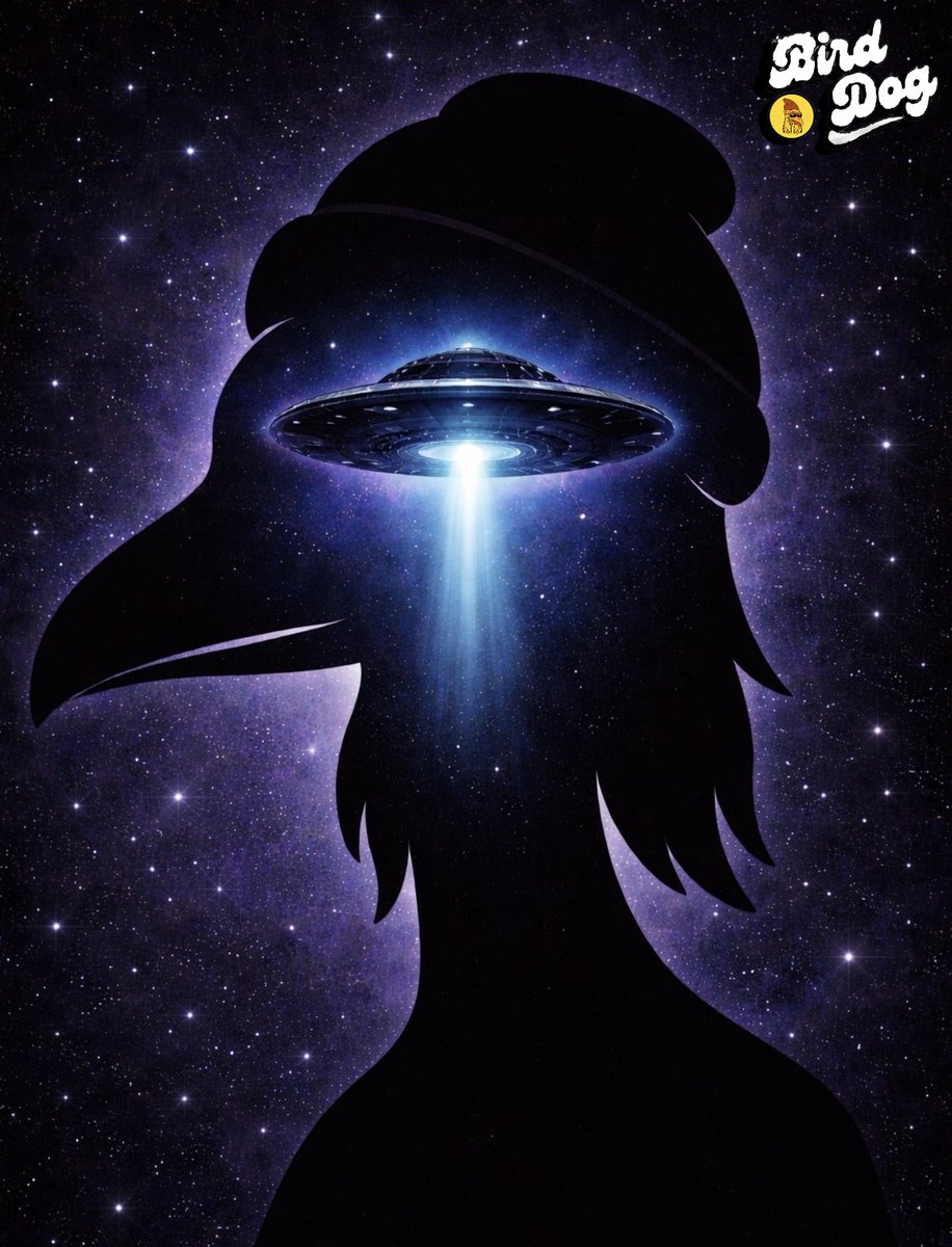 Bird_DogERC's tweet photo. Activating lightspeed, blink and you'll miss 🛸

$BirdDog https://t.co/zkmGHLY5vn