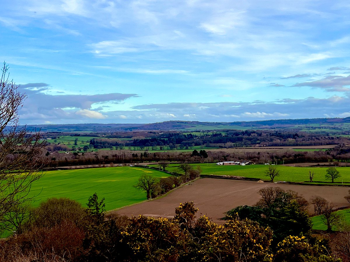 Chris Pritchard tweet media