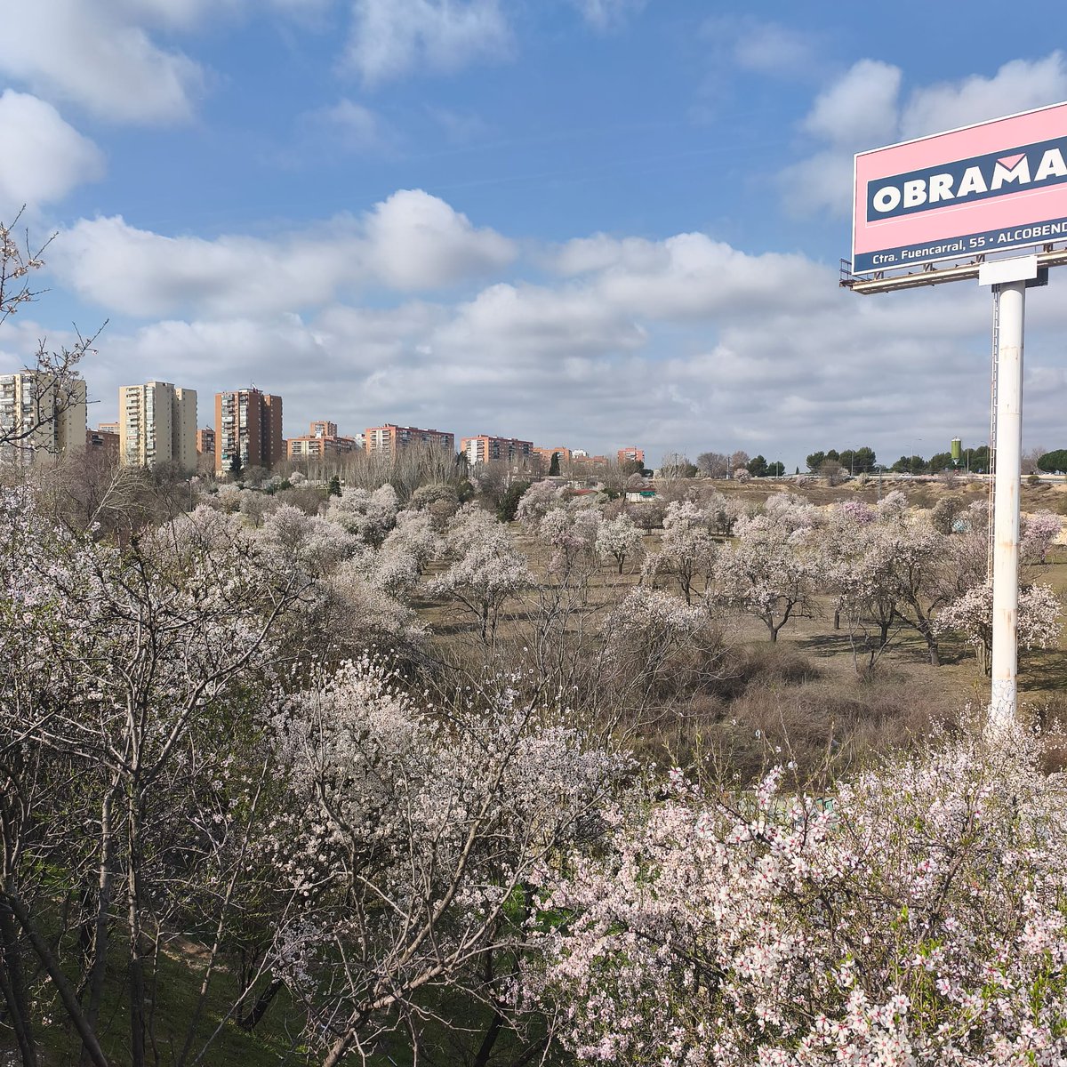 Salvar Hortaleza tweet media